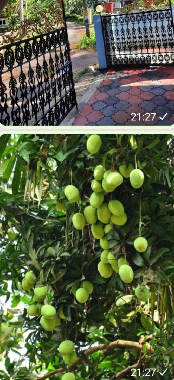 Urban Rose Homestay Канур Екстериор снимка